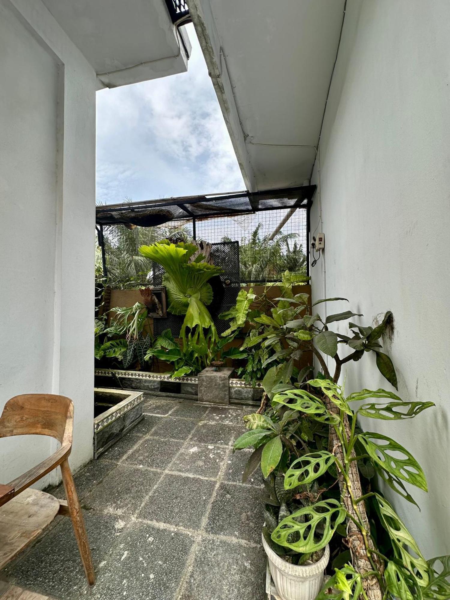 Rumah Kita Canggu Εξωτερικό φωτογραφία